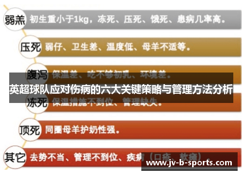 英超球队应对伤病的六大关键策略与管理方法分析