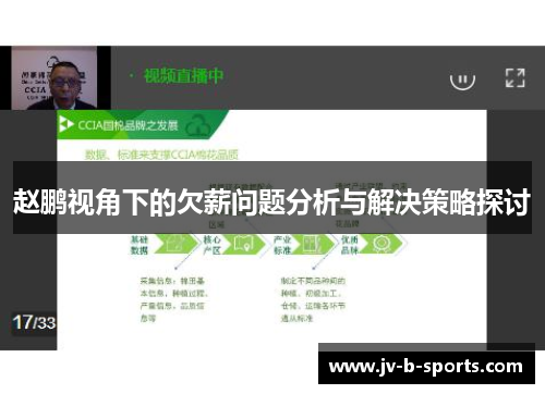 赵鹏视角下的欠薪问题分析与解决策略探讨